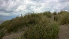 dune-dunegrass-sand-coast-1037835.jpg