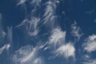 cirrus-clouds-clouds-blue-sky-1607089.jpg