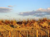 dune-beach-sand-atlantic-coast-1633302.jpg