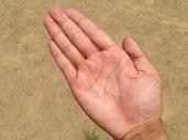 palm-hand-finger-bleaching-1590164.jpg