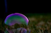 bubble-purple-round-grass-shape-110292.jpg