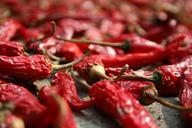 chili-peppers-red-dried-edible-61898.jpg