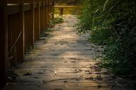 plank-bridge-sunshine-grassland-546034.jpg