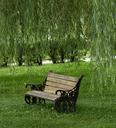 park-willow-bench-tree-nature-1689799.jpg