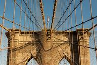 brooklyn-bridge-suspension-bridge-1031571.jpg