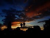 sunset-horizon-clouds-palm-trees-975655.jpg