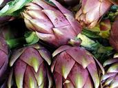 artichoke-vegetables-plant-healthy-1127911.jpg