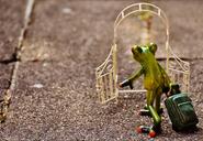 archway-garden-door-frog-farewell-1660466.jpg