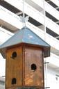 skyscraper-aviary-nature-nest-bird-737981.jpg