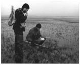 Checking tundra bird nest with measuring tools.jpg