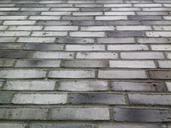 brick-white-gray-black-wall-620865.jpg