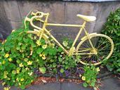 bicycle-yellow-old-wheels-bike-465015.jpg