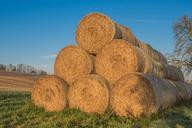 straw-straw-bales-round-bales-578641.jpg