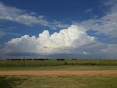 farm-weather-clouds-cows-986268.jpg