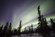 aurora-northern-lights-894238.jpg