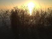 sunset-lake-lake-garda-sunsets-1515394.jpg