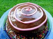 cake-chocolate-dessert-party-195335.jpg