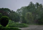 rain-rainy-day-park-weather-411784.jpg