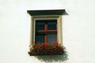 window-shutters-glass-flowers-1488660.jpg