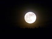 moon-full-night-sky-moonlight-53916.jpg