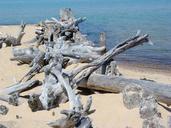 driftwood-lake-superior-beach-sand-73590.jpg