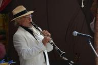 clarinetist-clarinet-jazz-concert-786605.jpg