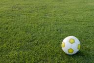 football-sports-ground-ball-472040.jpg