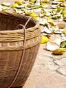 basket-lemon-orange-shell-1028246.jpg