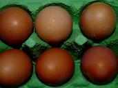 egg-eggshell-cardboard-food-six-217635.jpg