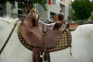 camargue-horse-saddle-leather-758709.jpg