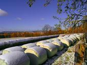 straw-bales-winter-hay-bales-snow-914407.jpg