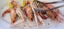 scampi-seafood-north-italy-526224.jpg