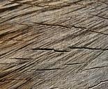 wood-grain-tree-stump-tree-rings-415155.jpg