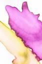 watercolor-tusche-indian-ink-wet-397678.jpg