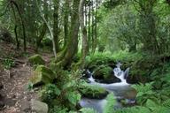 hiking-landscape-route-da-auga-646292.jpg