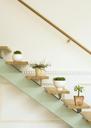 Flowerpots-situated-on-wooden-stairs-in-luxury-home.jpg