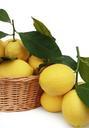 lemons-citrus-fruits-fruit-basket-483945.jpg