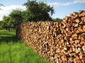 tree-wood-firewood-wood-batten-140567.jpg