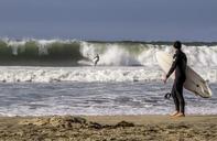 surf-waves-ocean-surfing-beach-1008207.jpg