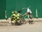 coconut-bicycle-green-street-695221.jpg