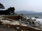 california-usa-coast-shoreline-53941.jpg