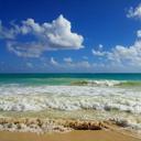 beach-hawaii-ocean-sea-nature-503138.jpg