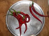 cayenne-peppers-hot-2-food-chili-535932.jpg