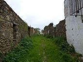 horse-abandoned-shrubs-ruins-1710822.jpg