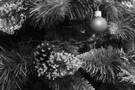 cone-christmas-sapling-ornament-612935.jpg