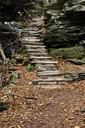 steps-stair-stairway-climb-trail-1011526.jpg