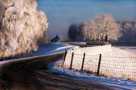 winter-landscape-trees-snow-nature-1327185.jpg