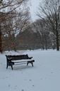 bench-winter-season-seat-cold-228734.jpg