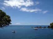 new-zealand-sea-ocean-shore-boats-334320.jpg