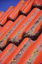 roof-tile-clay-tiles-pantile-red-1559821.jpg